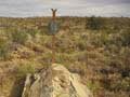 Assendelft Lodge & Bush Camp