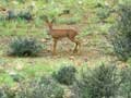 Assendelft Lodge & Bush Camp